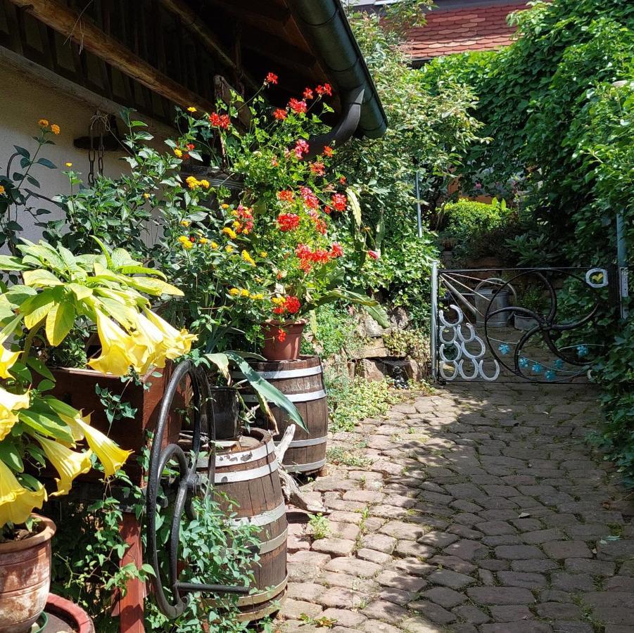 Appartamento Beim Schlafwandler Karlsbad Esterno foto